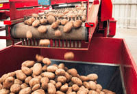 TSU338 Kartoffelvollernter1